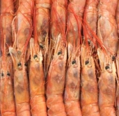 阿根廷红虾L1,2KG/盒